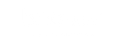 BNC Global Logo