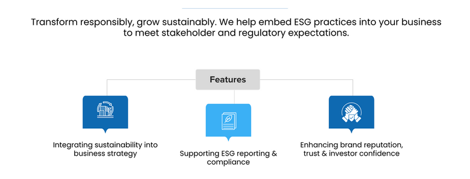 ESG Advisory