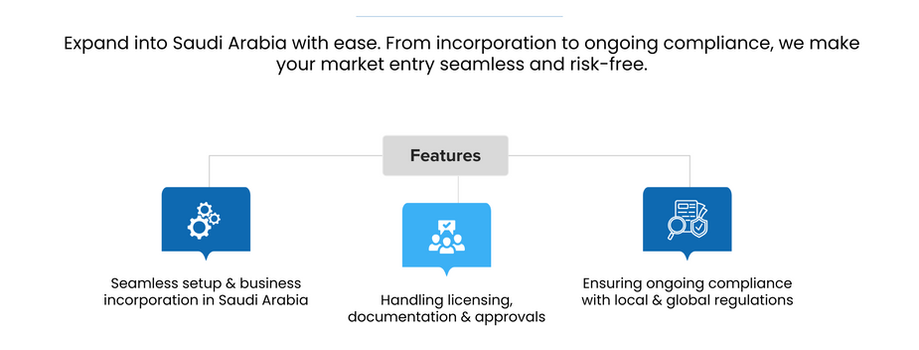 Company Incorporation & Risk Compliance